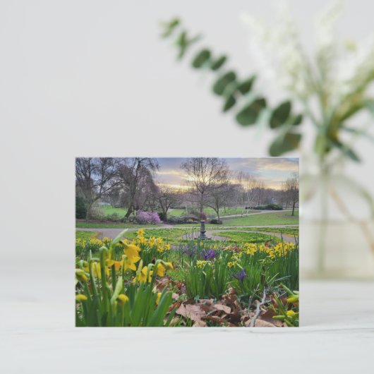 Daffodils Briefkaart (Staand voorkant)