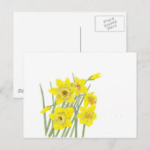  Daffodils Briefkaart (Voorkant / Achterkant)