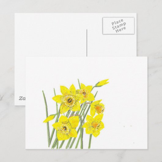 Daffodils Briefkaart (Voorkant / Achterkant)
