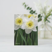 Daffodils Briefkaart (Staand voorkant)