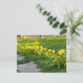 Daffodils Briefkaart (Staand voorkant)
