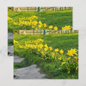 Daffodils Briefkaart (Voorkant / Achterkant)