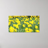 Daffodils Canvas Afdruk (Voorkant)