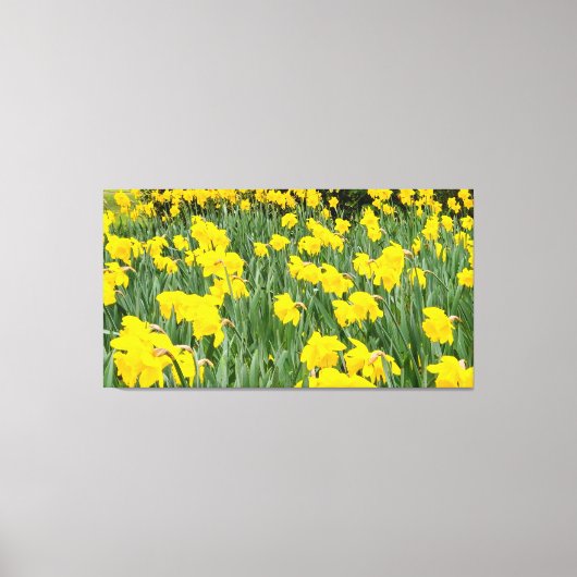 Daffodils Canvas Afdruk (Voorkant)