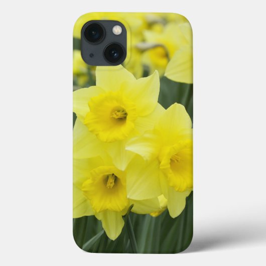 Daffodils Case-Mate iPhone Case (Achterkant)