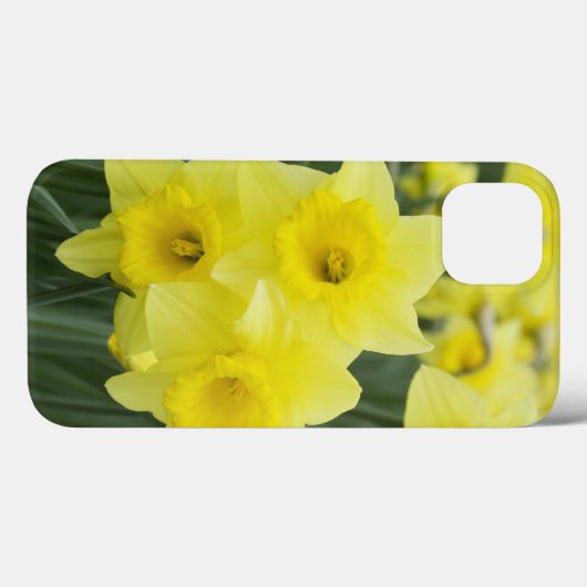 Daffodils Case-Mate iPhone Case (Achterkant (horizontaal))