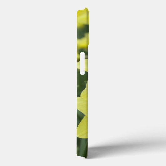 Daffodils Case-Mate iPhone Case (Achterkant / Rechts)