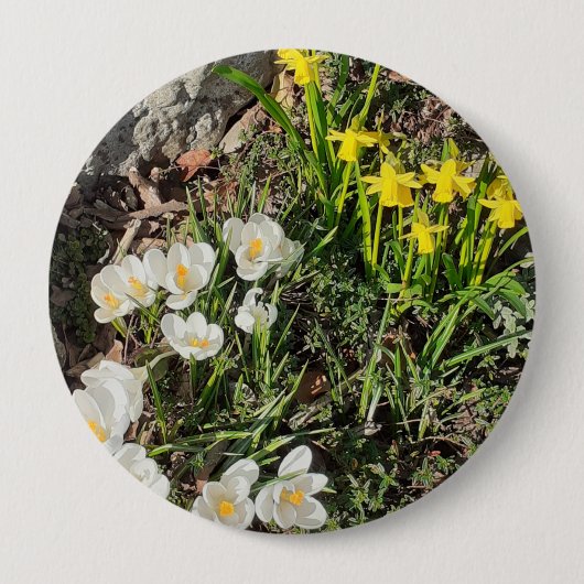 Daffodils & Crocus Badge Ronde Button 4,0 Cm (Voorkant)