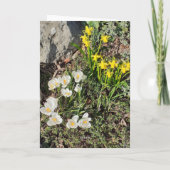 Daffodils & Crocus Birthday Card Kaart (Achterkant)