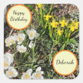 Daffodils & Crocus Birthday Vierkante Sticker (Voorkant)