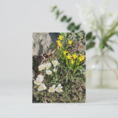 Daffodils & Crocus Briefkaart (Staand voorkant)