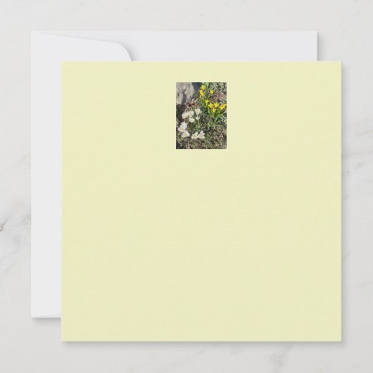 Daffodils & Crocus Flat Birthday Card Kaart (Achterkant)