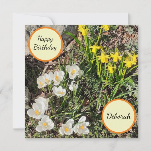 Daffodils & Crocus Flat Birthday Card Kaart (Voorkant)