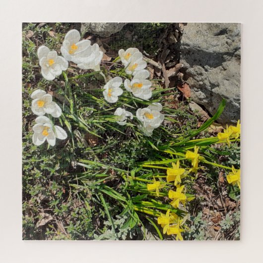 Daffodils & Crocus Jigzaag Puzzle Legpuzzel (Horizontaal)