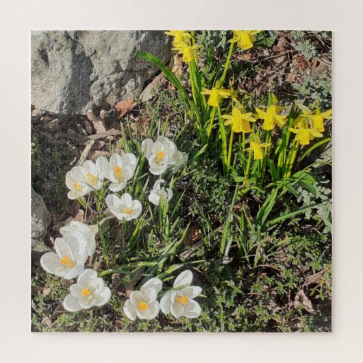 Daffodils & Crocus Jigzaag Puzzle Legpuzzel (Verticaal)