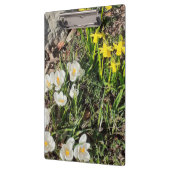 Daffodils & Crocus Klembord (Links)