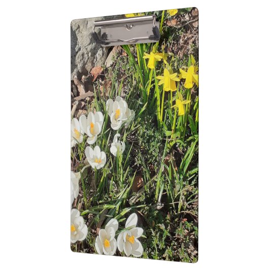 Daffodils & Crocus Klembord (Links)