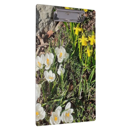 Daffodils & Crocus Klembord (Rechts)