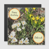 Daffodils & Crocus Magnetic Birthday Card (Voorkant / Achterkant)