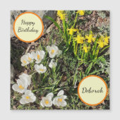 Daffodils & Crocus Magnetic Birthday Card (Voorkant)