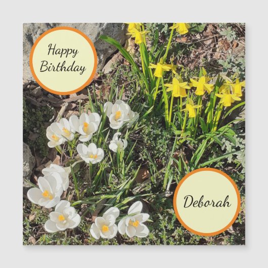 Daffodils & Crocus Magnetic Birthday Card (Voorkant)