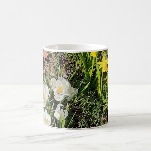 Daffodils & Crocus Mok (Center)