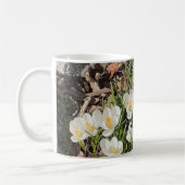 Daffodils & Crocus Mok (Links)