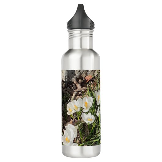 Daffodils & Crocus Waterfles (Links)