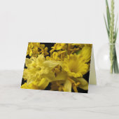 Daffodils en Forsythia Pasen Feestdagen Kaart (Voorkant)