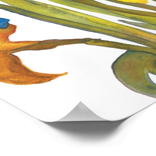 Daffodils en Iris Poster (Hoek)