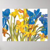 Daffodils en Iris Poster (Voorkant)