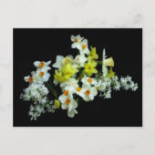 Daffodils en Lilacs Briefkaart (Voorkant)