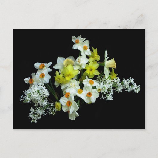 Daffodils en Lilacs Briefkaart (Voorkant)