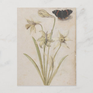 Daffodils en Red Admiral Butterfly door de Morgues Briefkaart