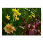 Daffodils en Rozen Colorful Floral (Voorkant Horizontaal)