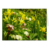 Daffodils en Rozen Colorful Floral (Voorkant Horizontaal)