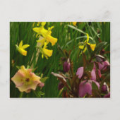 Daffodils en Rozen Colorful Floral Briefkaart (Voorkant)