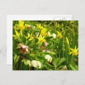 Daffodils en Rozen Colorful Floral Briefkaart (Voorkant / Achterkant)
