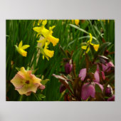 Daffodils en Rozen Colorful Floral Poster (Voorkant)