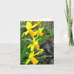Daffodils en vogelbriefkaart kaart