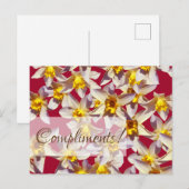 Daffodils floral Custom Wenskaart Briefkaart (Voorkant / Achterkant)