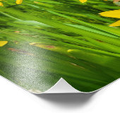 Daffodils Foto Afdruk (Hoek)