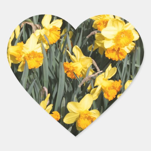 Daffodils Hart Sticker (Voorkant)