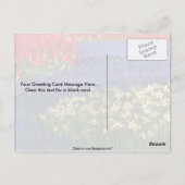 Daffodils, hyacinth en tulpen briefkaart (Achterkant)