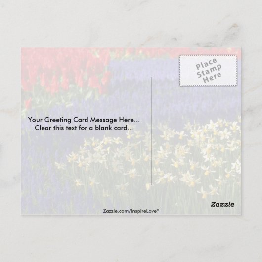Daffodils, hyacinth en tulpen briefkaart (Achterkant)