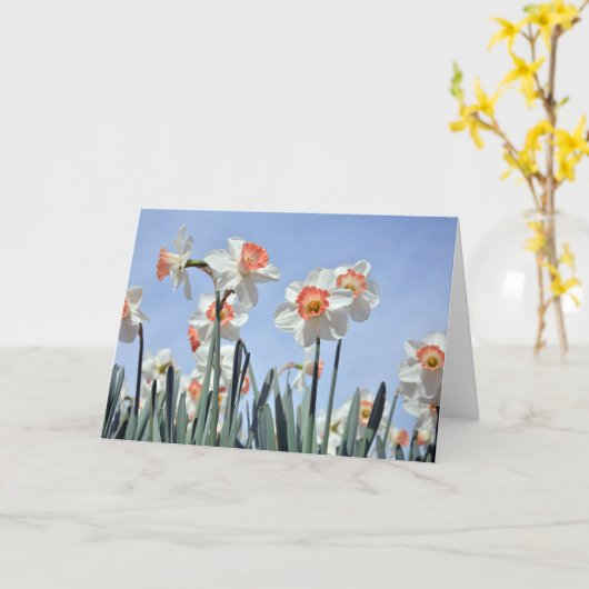 Daffodils in Bloom Kaart (Gele Bloem)