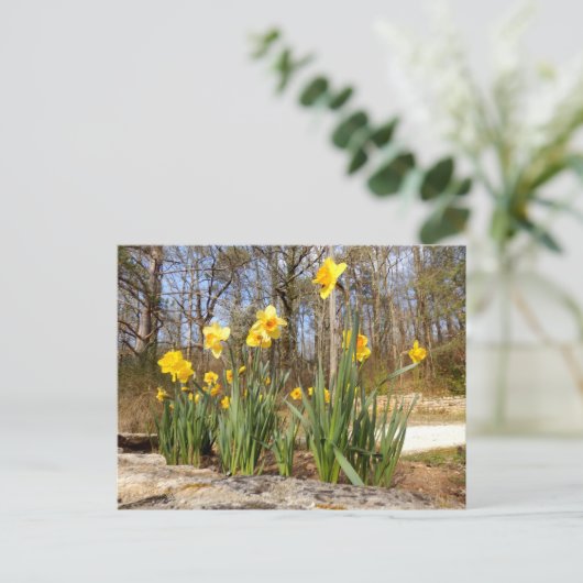 Daffodils in het Paasfeest Briefkaart (Staand voorkant)