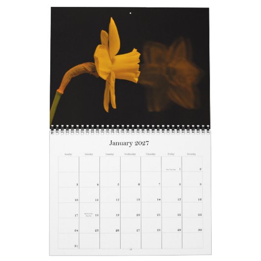 Daffodils Kalender (Jan 2027)