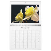 Daffodils Kalender (Feb 2027)