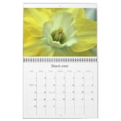 Daffodils Kalender (Mar 2026)